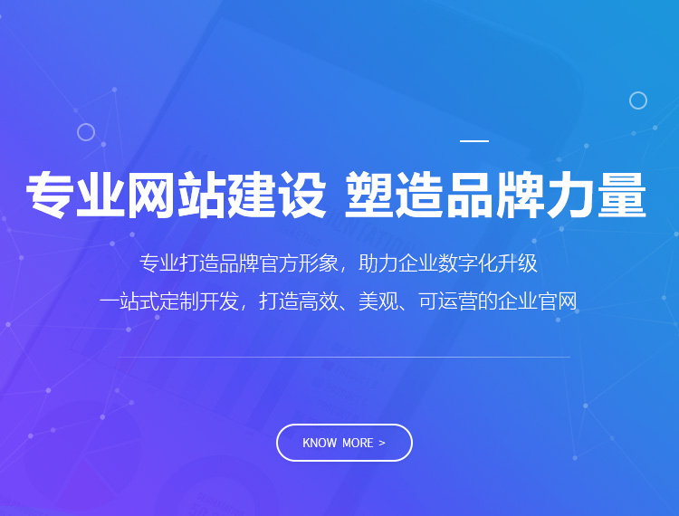 厦门建站-专业网站建设 塑造品牌力量